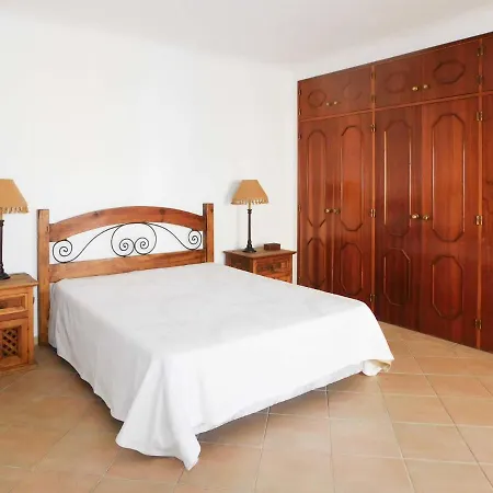 Palmeira 2