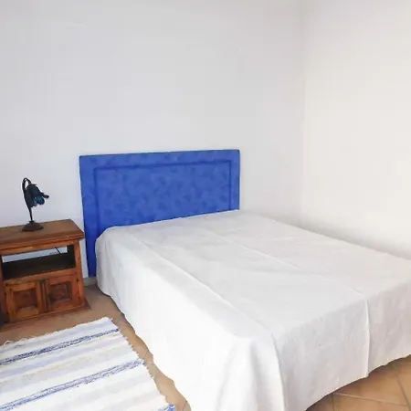 Palmeira 2